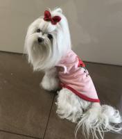 Hunde T-Shirt Rosa Melone
