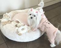 Hunde Winteranzug ,Jogginganzug Baby Bear Pink