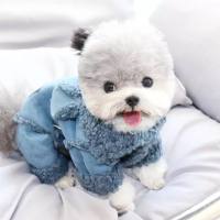 Hunde Winteranzug ,Jogginganzug „MY BLUE BABYDOG”