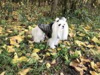 Winterjacke für Hunde ELIAS in Camouflage
