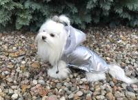 Hundejacke, Winterjacke 
Zur Wa...